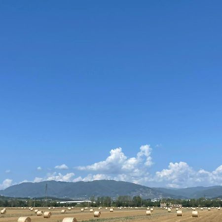Lucca Holiday Rental- By The Walls N 395 المظهر الخارجي الصورة