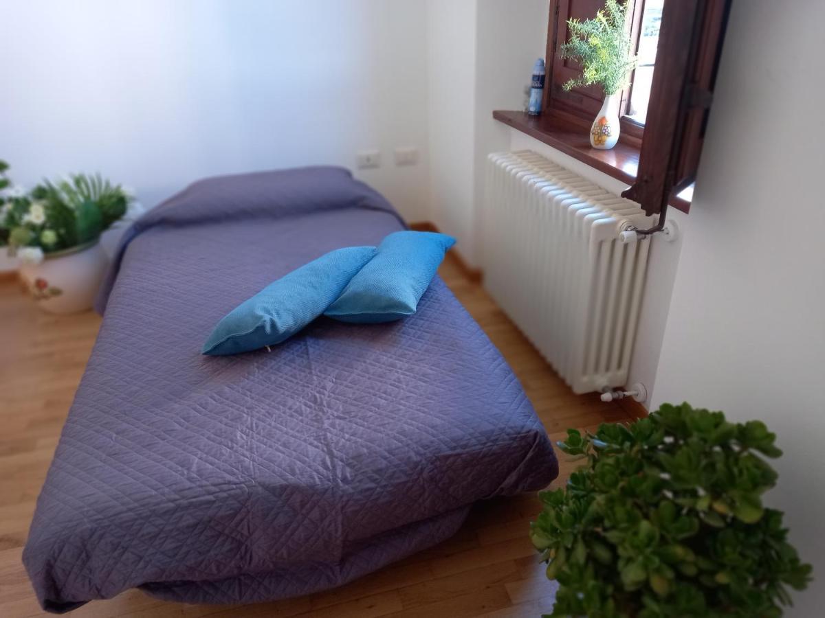 Lucca Holiday Rental- By The Walls N 395 المظهر الخارجي الصورة