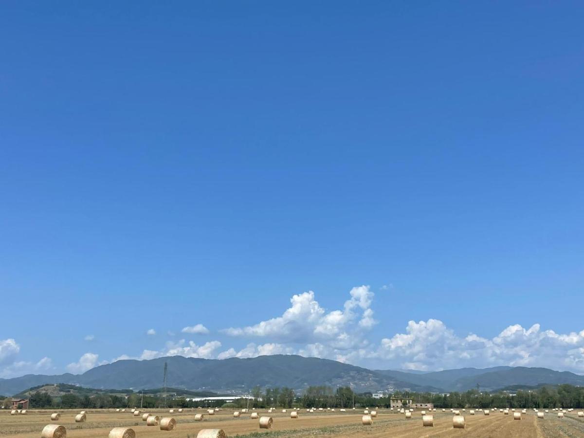 Lucca Holiday Rental- By The Walls N 395 المظهر الخارجي الصورة